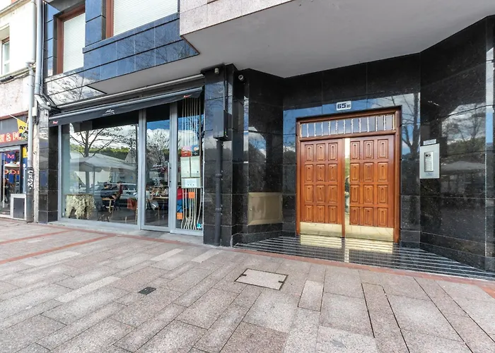 Apartment Puppy By People